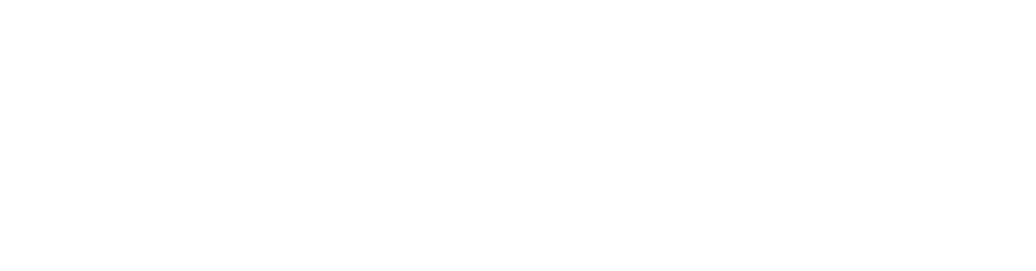 University of Business and Science